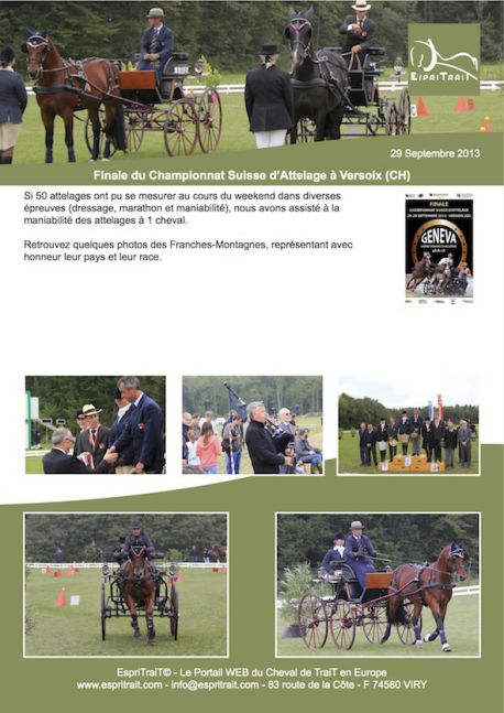 Championnat Suisse d&lsquo;Attelage 2013